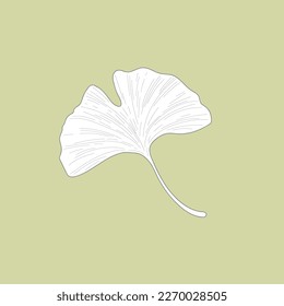Ginkgo Biloba, delicate plant twig, outline isolated vector illustration.