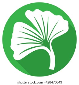 ginkgo biloba flat icon