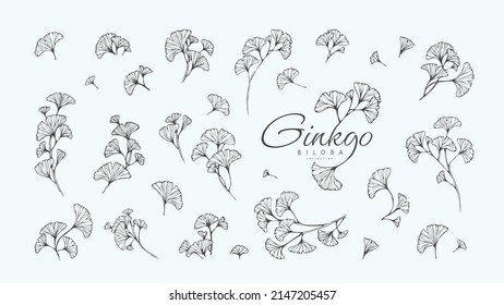 Ginkgo Biloba Blumenlogo und Filialsatz. Handgezeichnete Hochzeitskraut, elegante Blätter für die Einladung speichern Sie die Dattelkarte. Botanische rustikale, trendige Vektor-Kollektion