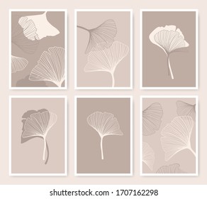 Ginkgo biloba flowers posters set of thin and flat icons shapes in beige and brown colors. Herbal medicine pastel plant illustration. Chinese hand-drawn leaves illustration. 