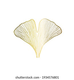 Ginkgo biloba golden leaf vector illustration isolated on white background. 2021 colors. Plant graphic element
