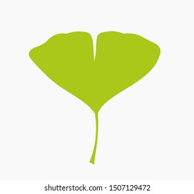 Ginkgo biloba green leaf icon. Vector illustration.