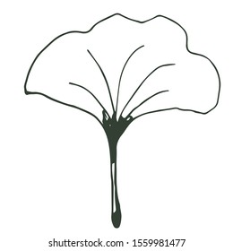Ginkgo biloba hand drawn, sketch drawing on a white background. Eco icon. Monochrome drawing. Copy space. Design for cards, business cards, banner, decoupage. Vector illustration