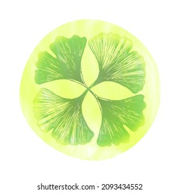 Icono de Ginkgo biloba de 4 hojas. Marca o logotipo para envasado de ginkgo de planta útil, para productos farmacéuticos