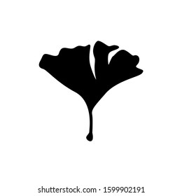 Ginkgo biloba icon isolated on clean background. Ginkgo biloba icon concept drawing icon in modern style. Vector illustration for your web mobile logo app UI design. eps10