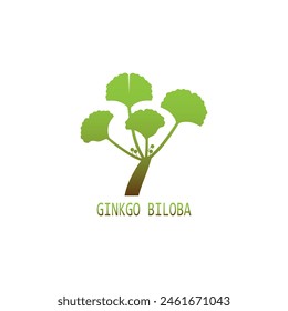 ginkgo biloba icon vector silhouette