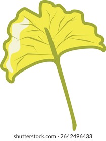 Ginkgo biloba illustration, yellow color, a single leaf, many benefits, herbal plant, natural care ingredient
