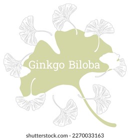 Ginkgo biloba, inscription in the center of a circle of plants.  Vector illustration