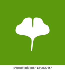 Ginkgo biloba isolated on green background. Vector illustration.