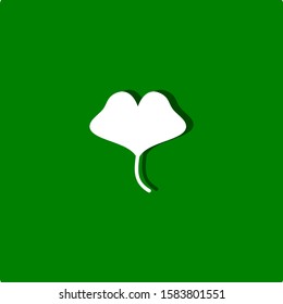Ginkgo biloba isolated on green background. Vector illustration.