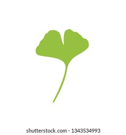 Ginkgo biloba isolated on white background. Vector illustration.