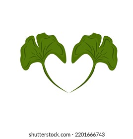 Ginkgo biloba isolated on white background. Vector illustration.