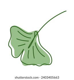 Ginkgo Biloba Leaf 4, decoration for logo or template