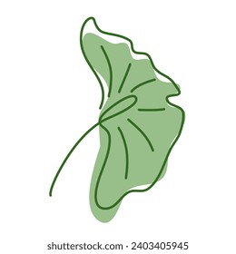 Ginkgo Biloba Leaf 5, cute decoration for logo or template