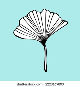 Ginkgo Biloba leaf as design element. Hand drawn sketch style. Line art. Ink drawing. Isolated. Vector illustration on turquoise.