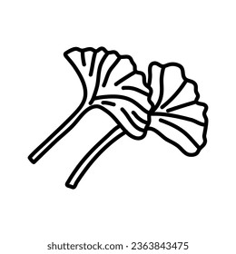 Ginkgo biloba leaf doodle hand drawn contour line. Vector herbal icon isolated on white background