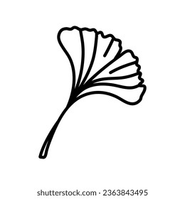 Ginkgo biloba leaf doodle hand drawn contour line. Vector herbal icon isolated on white background