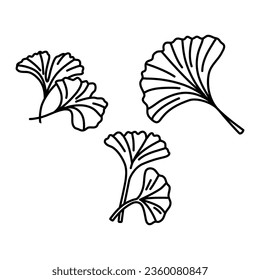 Ginkgo biloba leaf doodle set hand drawn contour line. Vector herbal icon isolated on white background