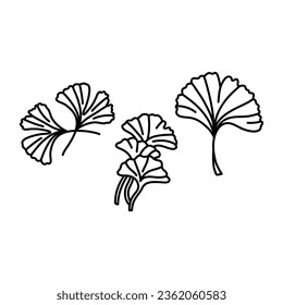 Ginkgo biloba leaf doodle set hand drawn contour line. Vector herbal icon isolated on white background