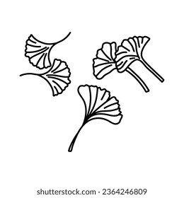 Ginkgo biloba leaf doodle set hand drawn contour line. Vector herbal icon isolated on white background