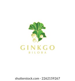 Ginkgo Biloba Leaf Gold And Green  Nature  eco icon. Vector illustration. Leaflet organic icon.