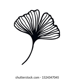 Ginkgo biloba leaf hand drawn contour line. Vector herbal icon in a Trendy Minimalist Style. For the design of Logos, Invitations, posters, Postcards, prints on t-Shirts.