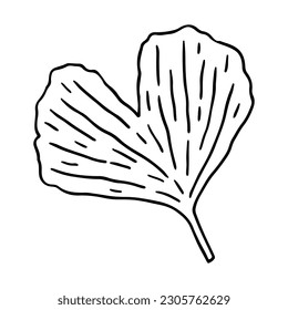 Ginkgo biloba leaf isolated on white background. Vector hand-drawn illustration in outline style. Perfect for cards, decorations, logo,  various designs.