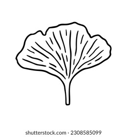 Ginkgo biloba leaf isolated on white background. Vector hand-drawn illustration in outline style. Perfect for cards, decorations, logo,  various designs.