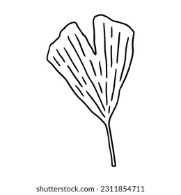 Ginkgo biloba leaf isolated on white background. Vector hand-drawn illustration in outline style. Perfect for cards, decorations, logo,  various designs.