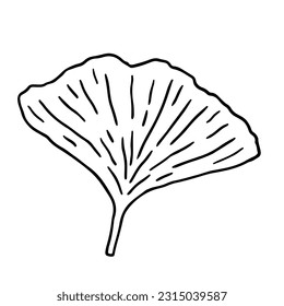 Ginkgo biloba leaf isolated on white background. Vector hand-drawn illustration in outline style. Perfect for cards, decorations, logo,  various designs.
