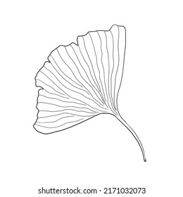 Ginkgo biloba leaf isolated vector digital drawing. Japanese floral motif wabi sabi style.