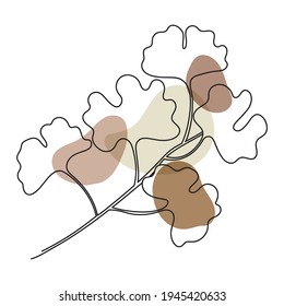 Ginkgo Biloba Leaf line arts frame cover collection. Minimalistic modern line art  Flower with abstract shape background for print, beauty and fashion. vector illustration.