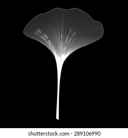 Ginkgo Biloba leaf  for logo