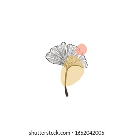 ginkgo biloba leaf logo vector