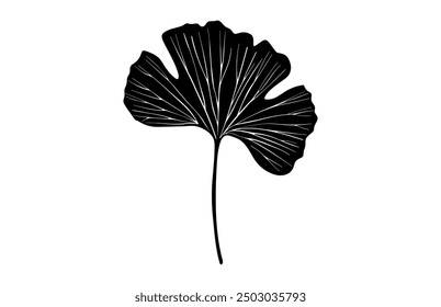 Ginkgo Biloba Leaf Silhouette Vector, Ginkgo Leaves Black Silhouette Clipart