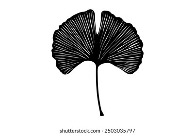 Ginkgo Biloba Leaf Silhouette Vector, Ginkgo Leaves Black Silhouette Clipart