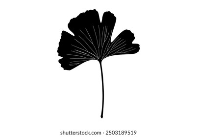 Ginkgo Biloba Leaf Silhouette Vector, Ginkgo Leaves Black Silhouette Clipart