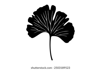 Ginkgo Biloba Leaf Silhouette Vector, Ginkgo Leaves Black Silhouette Clipart