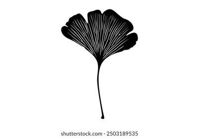 Ginkgo Biloba Leaf Silhouette Vector, Ginkgo Leaves Black Silhouette Clipart