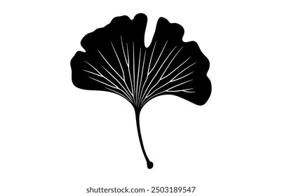 Ginkgo Biloba Leaf Silhouette Vector, Ginkgo Leaves Black Silhouette Clipart