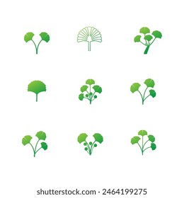 ginkgo biloba leaf vector icon