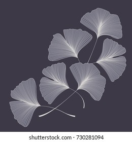 Ginkgo biloba leaves