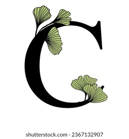 Ginkgo biloba leaves alphabet . Badge and icon in trendy linear hand drawn style. Vector Logo Emblem letter and ginkgo branch. Illustration for cosmetics, medicines, organic food