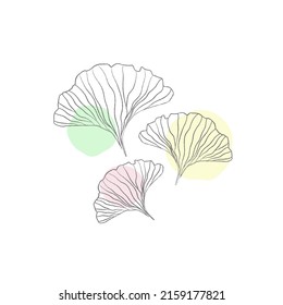 Ginkgo-Biloba-Blätter mit Farbfleck einzeln auf Weiß. Minimale Umrisslinie für Branding. Schönes asiatisches Design für Logo, Textilien, Tapeten, Umhüllung usw. 