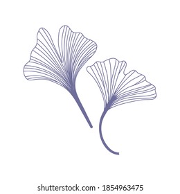 Ginkgo biloba leaves. Hand drawing elements for logo wedding cards, cosmetics, tattoo, spa, jewelry, yoga design. Vector illustration in a minimal linear style.