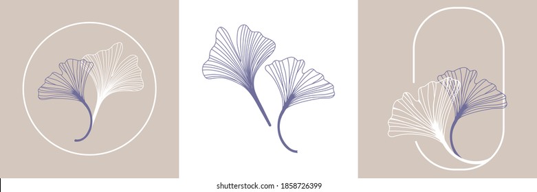 Ginkgo biloba leaves. Hand drawing elements for logo wedding cards, cosmetics, tattoo, spa, jewelry, yoga design. Vector illustration in a minimal linear style.