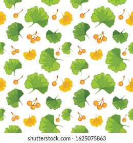 Ginkgo biloba leaves with nuts on white background. Seamless pattern for design. Vector