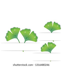 Ginkgo biloba leaves on the curved white background , 3D paper, vector illustration, eps 10. Can be used for web design, greeting card, invitation, banner.