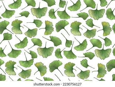 Ginkgo biloba leaves. Seamless pattern, background. Vector illustration. In botanical style
