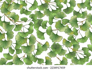 Ginkgo biloba leaves. Seamless pattern, background. Vector illustration. In botanical style